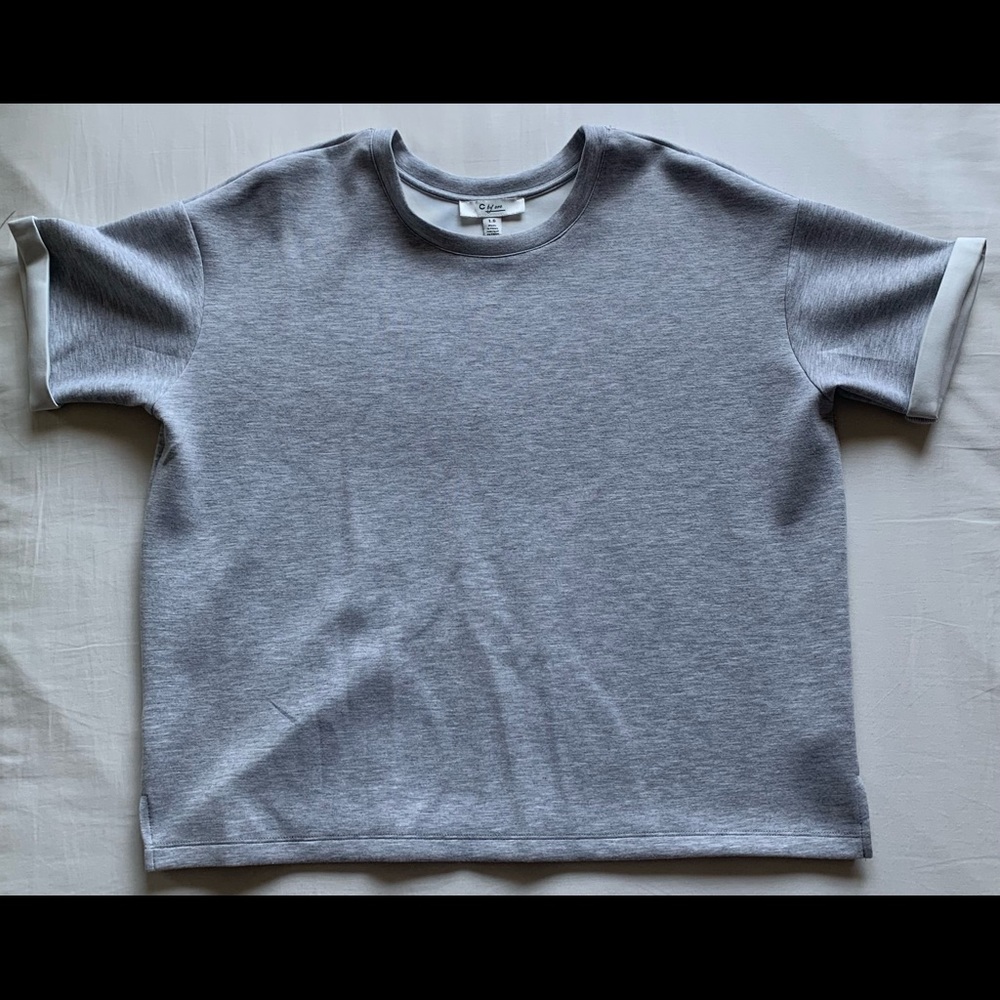 Never Worn, Slightly cropped gray T Shirt